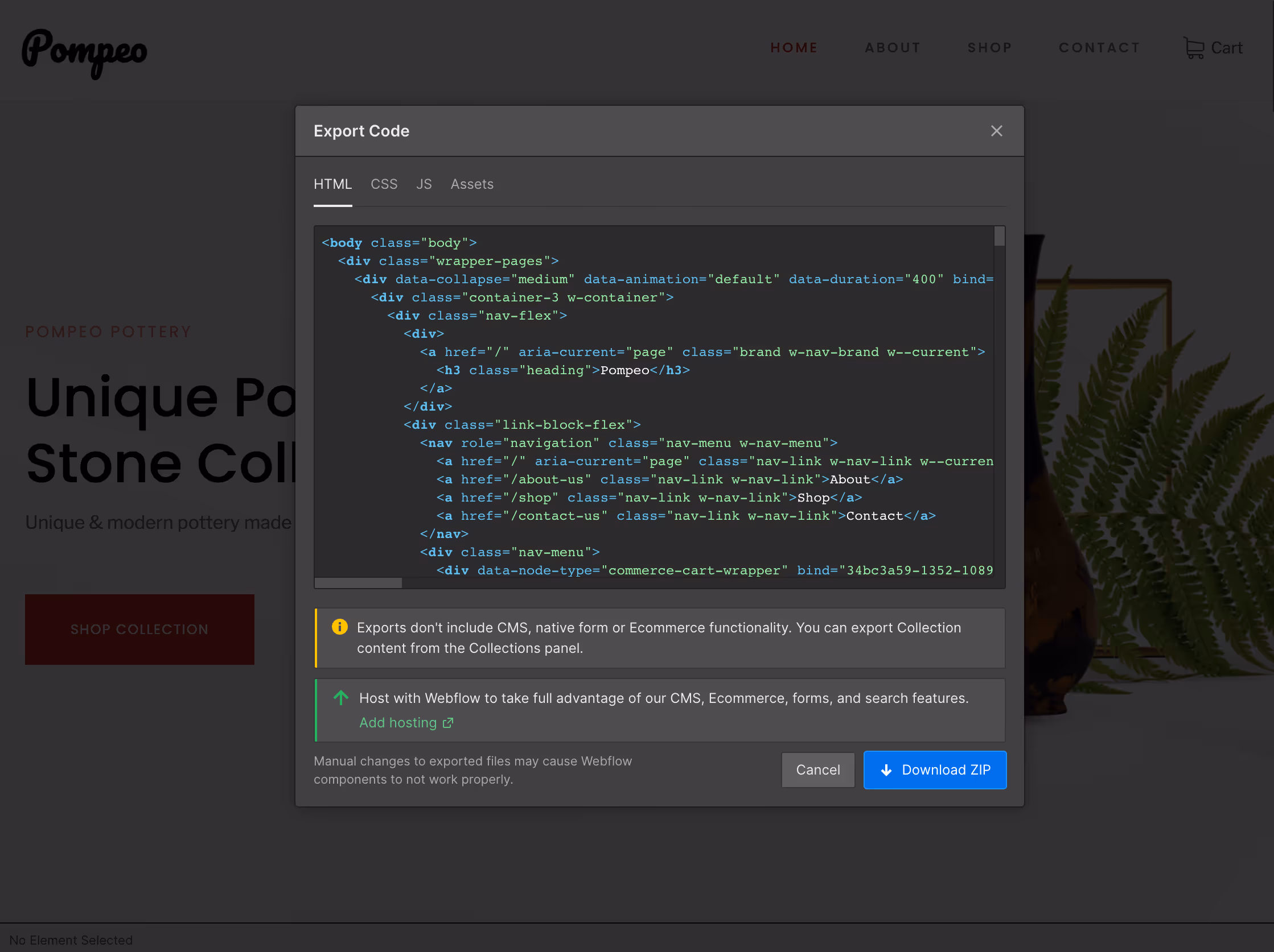 webflow-code-export-example-image