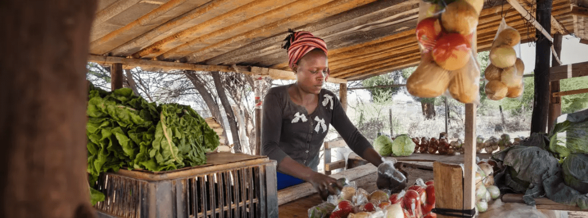 Insurtechs na África: o próximo grande boom de seguros?