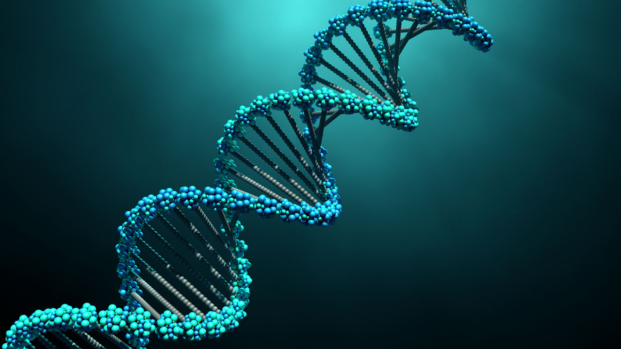 Complexidade de doenças raras exige inovação das seguradoras no suporte aos pacientes pediátricos