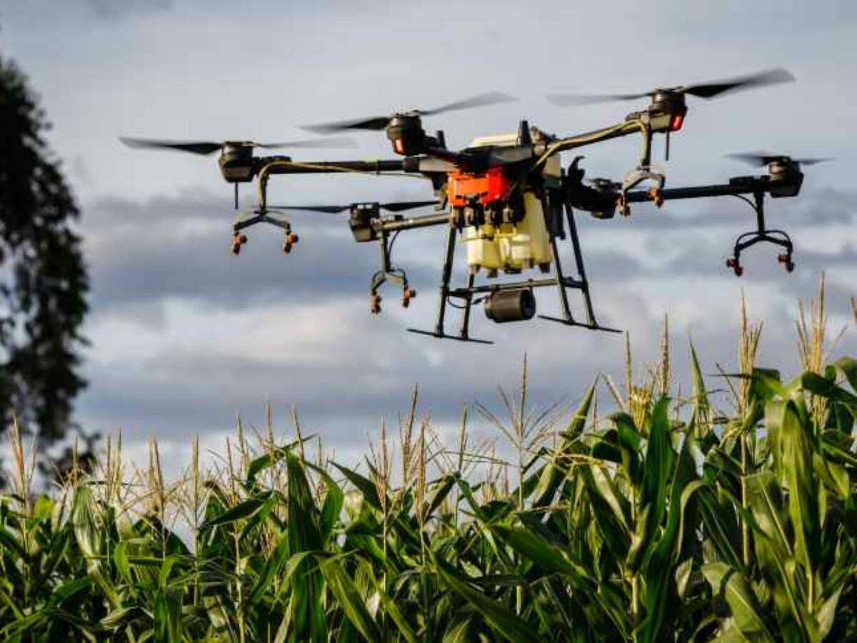Drones na agricultura: nova era para seguros rurais no Brasil