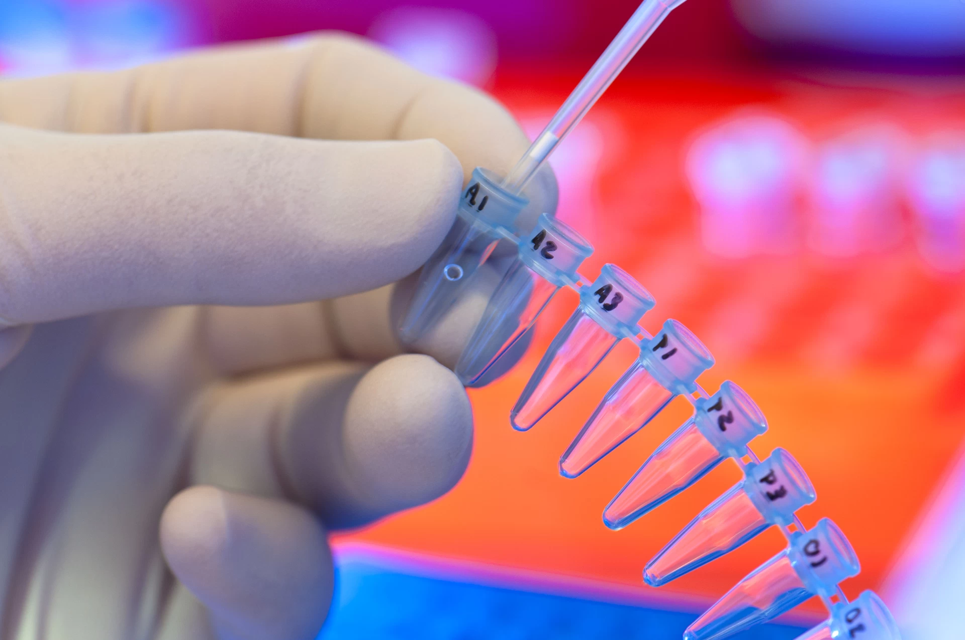 Quanto do futuro biológico de uma pessoa deve entrar no preço do seguro?