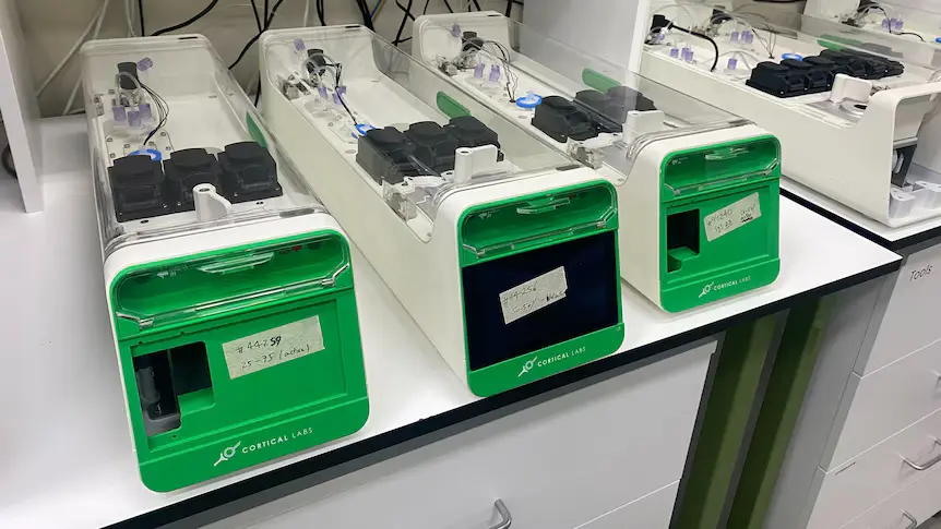 Primeiro PC biológico com neurônios humanos: impactos futuros no setor de seguros