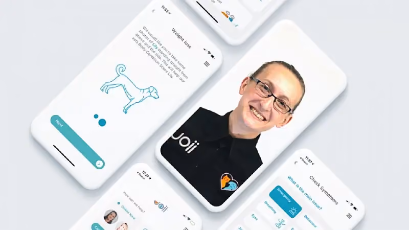 Insurtech inglesa inova com inteligência artificial para Seguro Pet