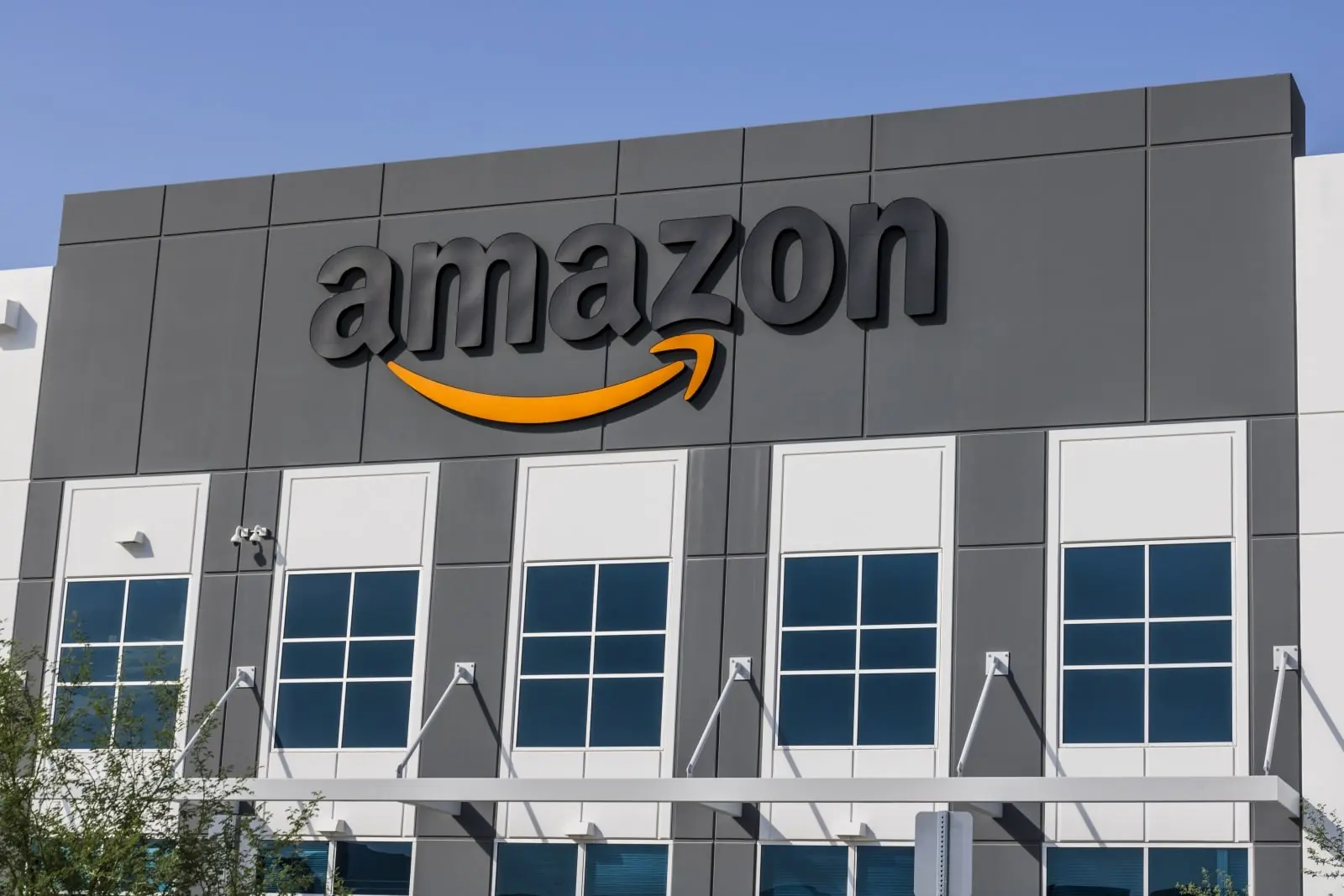 Lições da Amazon para seguradoras sobre crescimento sustentável