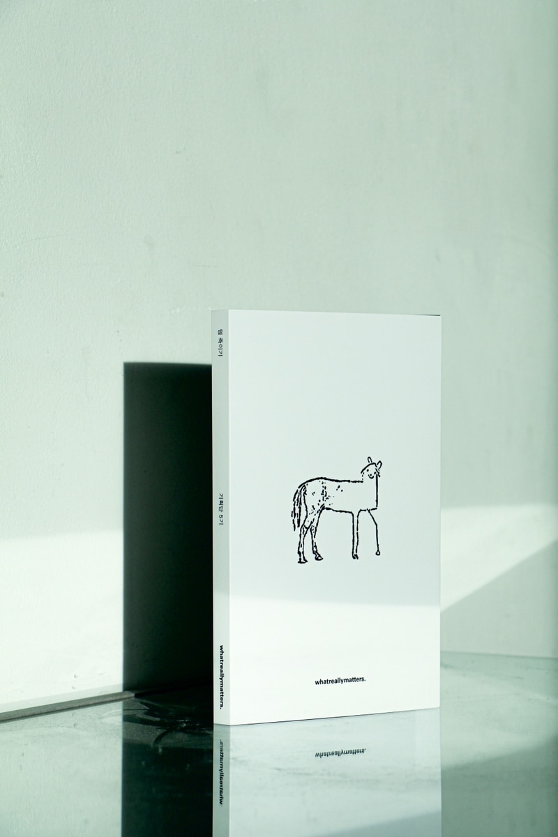 wrm 기획단 5기 『밈 죽이기』의 도서 목업 이미지. 흰 배경 벽 앞에 도서가 놓여있다.