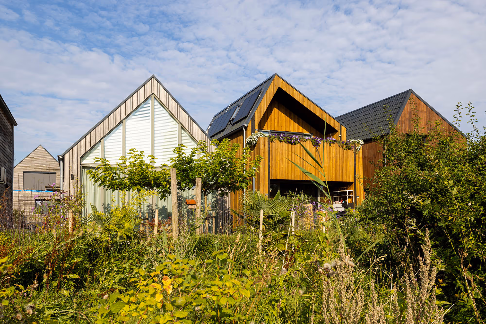 2 WikiHouses in the background, seen from the garden