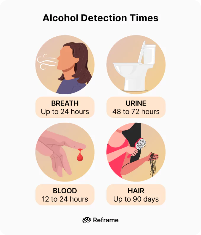 Diagram about alcohol detection times