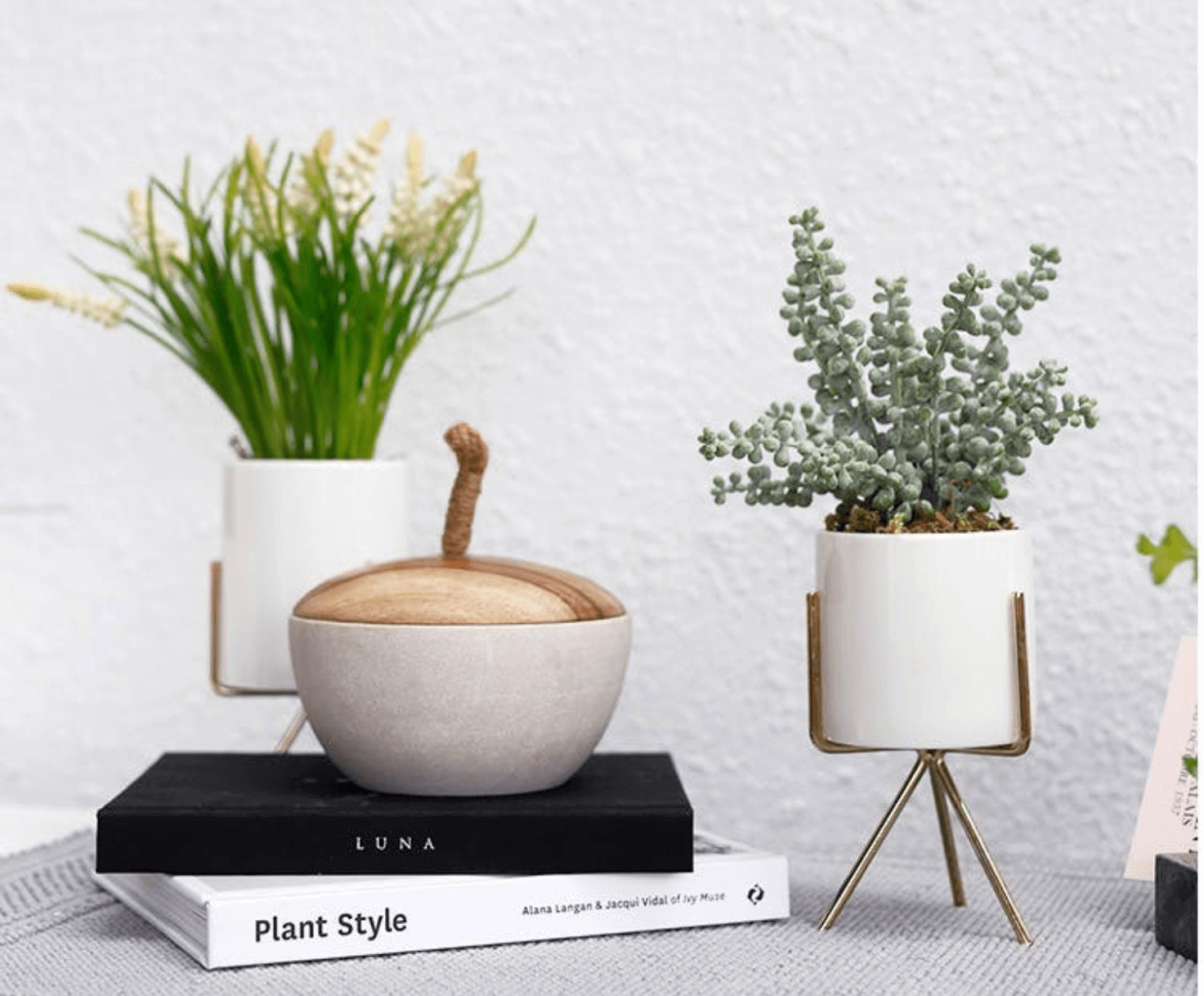 Hipvan Furniture - Section 8 – image
