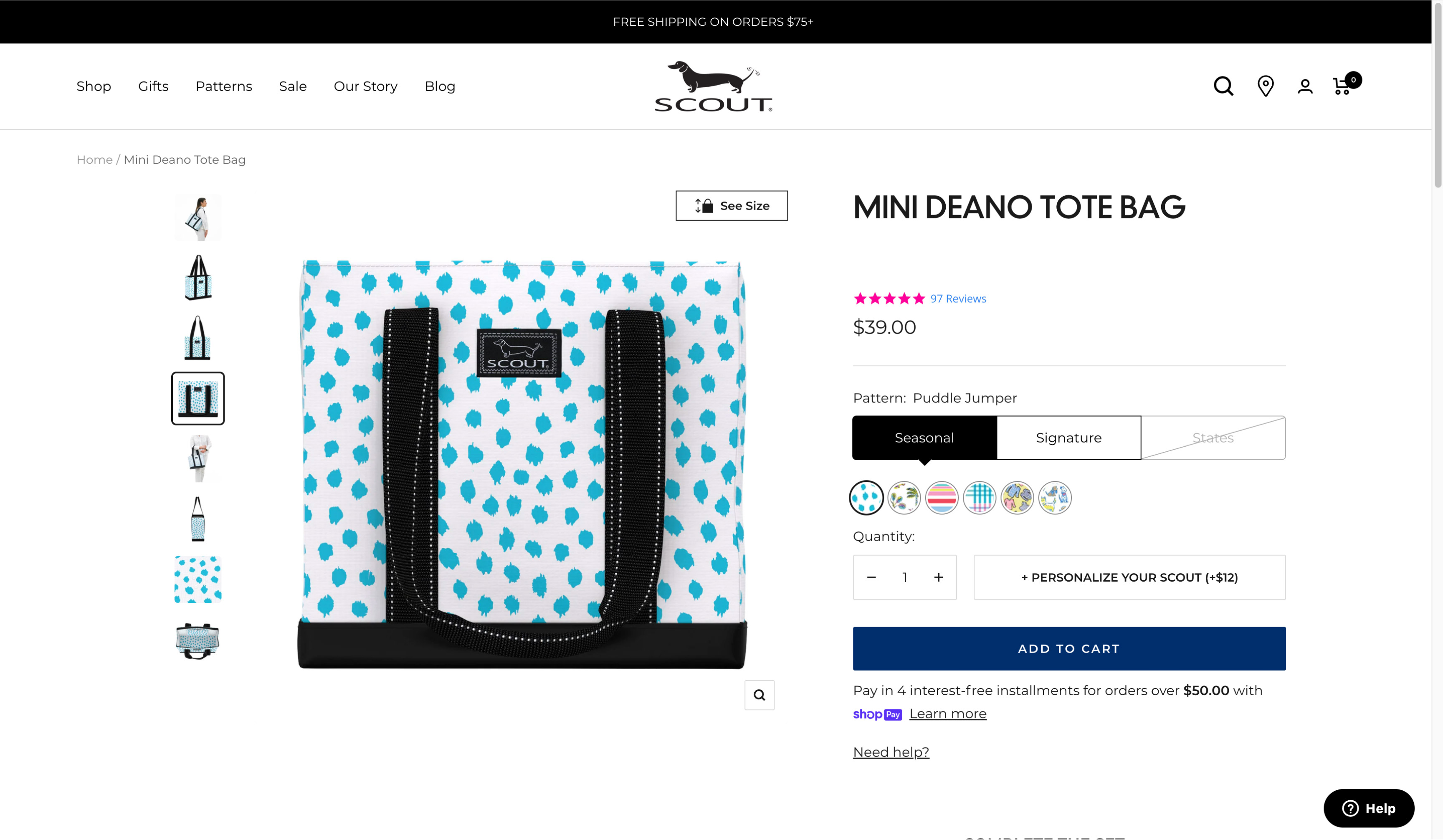 Desktop view of client's product detail page