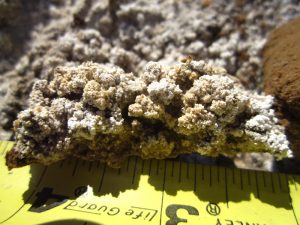 aquatic resource permitting