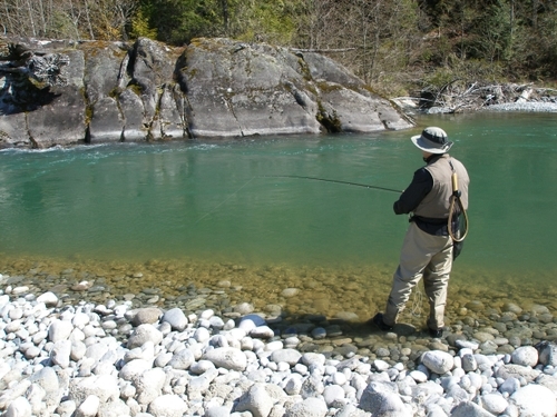 A man fly fishing