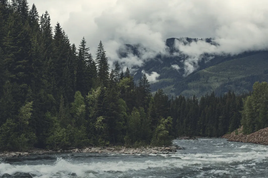 Rapids on the Fraser river 