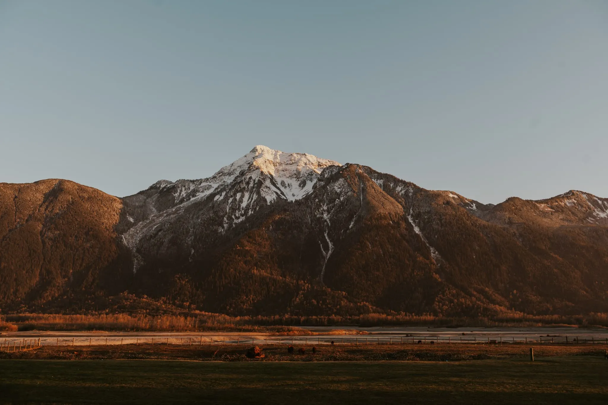The view of Mount Cheam from the Fraser River Lodge