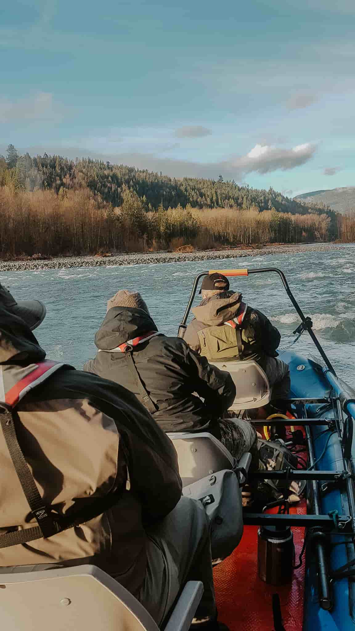 steelhead fishing on the fraser river