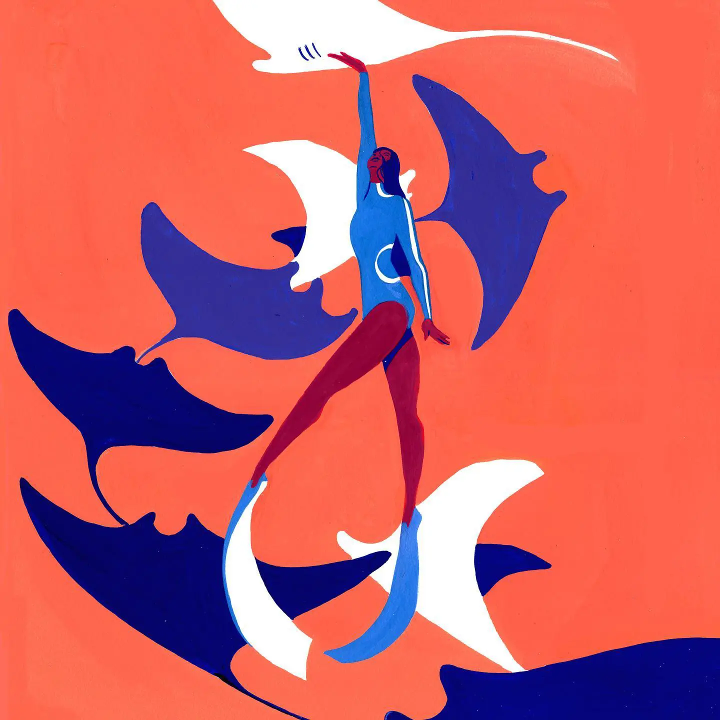 Illustration de Roxane Campoy - agent d'illustrateurs