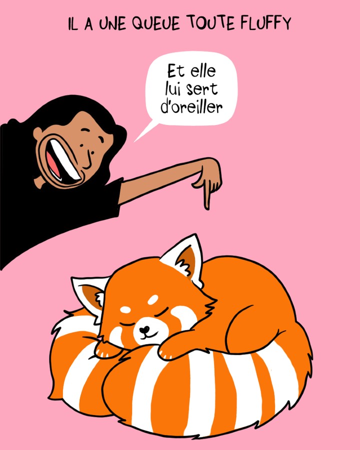 Illustration de Pacco, illustrateur.