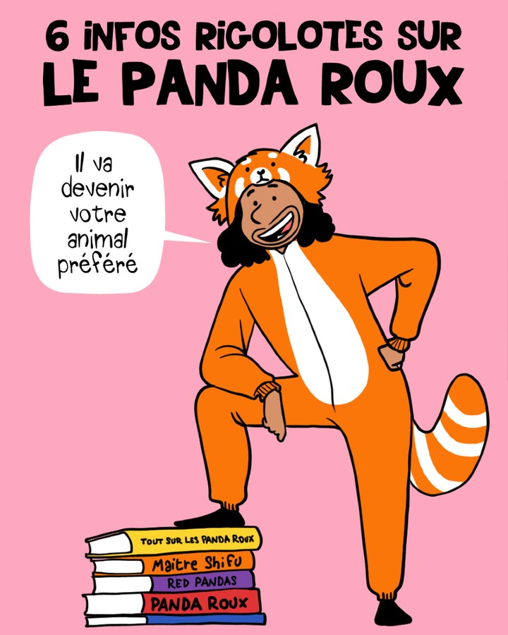 Illustration de Pacco, illustrateur.