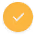 Workpay tick icon