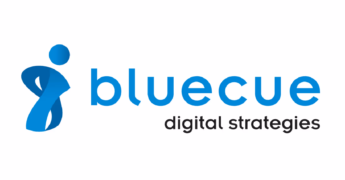 Bluecue digital strategies