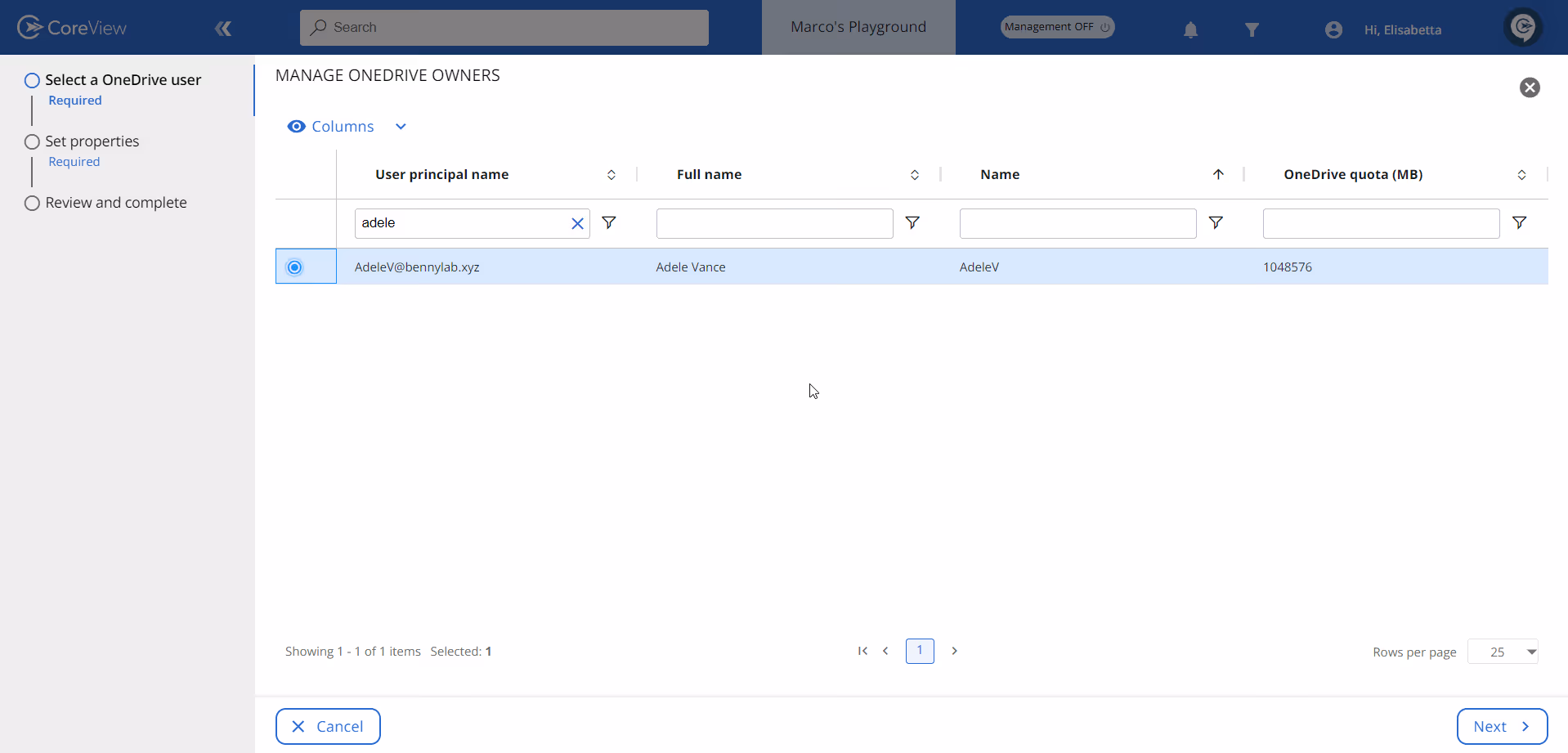 Manage OneDrive owners screen