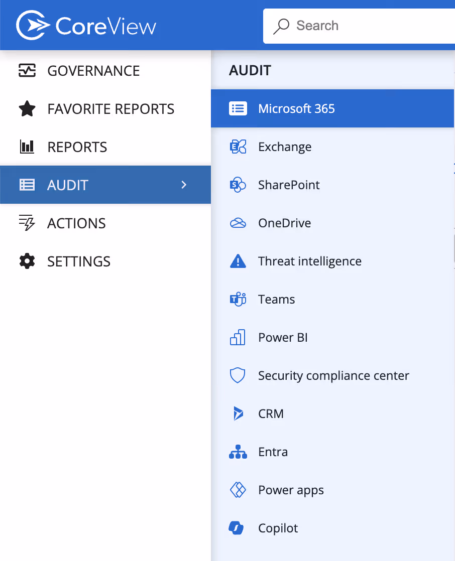 Audit Screenshot