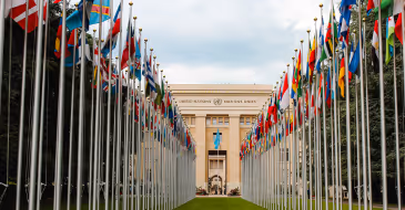 Two rows of numerous national flags outside a United Nations building