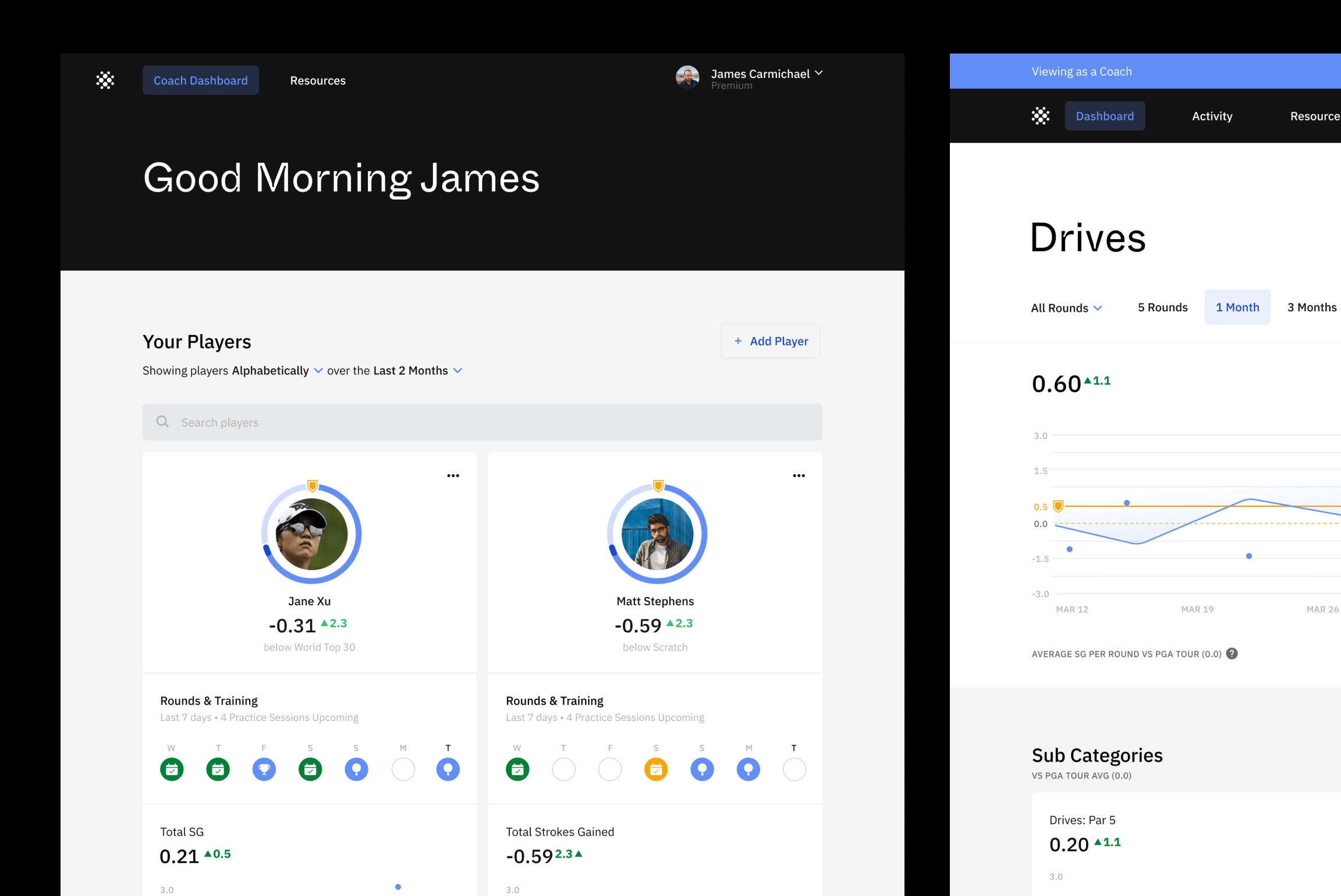 Screenshot showing coach view of player dashboard
