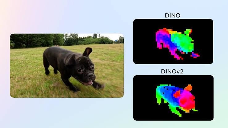 feature recognition in an image of a dog for image similarity