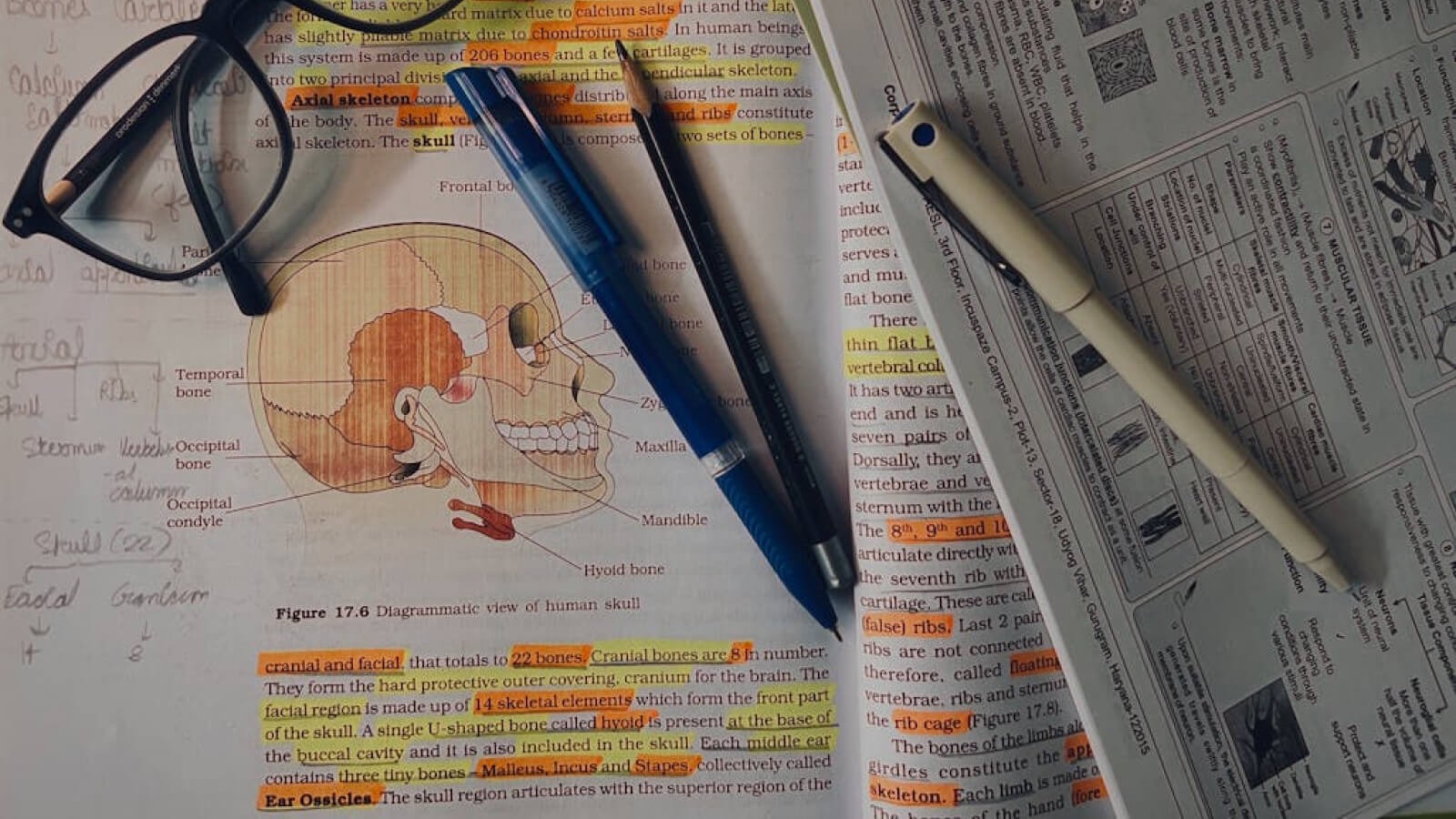 photo of a science textbook covered in highlighting