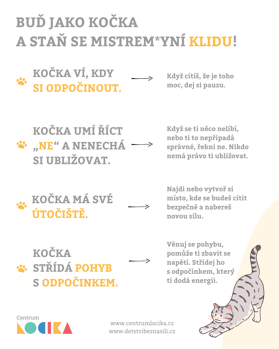 Kočičí moudrost: Odpočinek je největší síla!