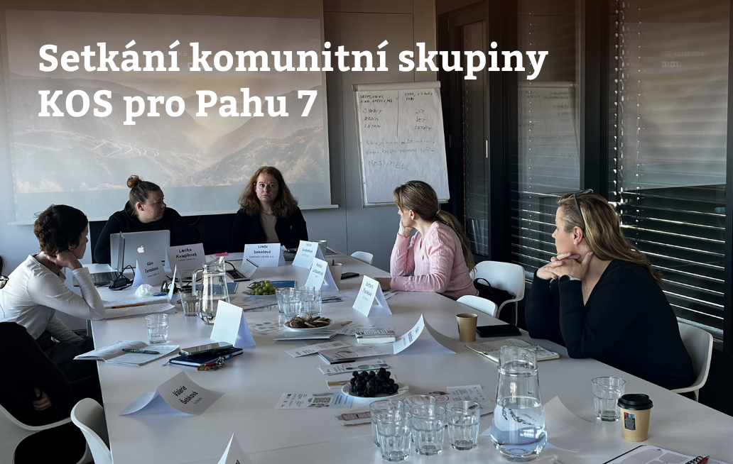 Sdílení praxe, participace dětí a mezioborová spolupráce v pomoci ohroženým dětem.