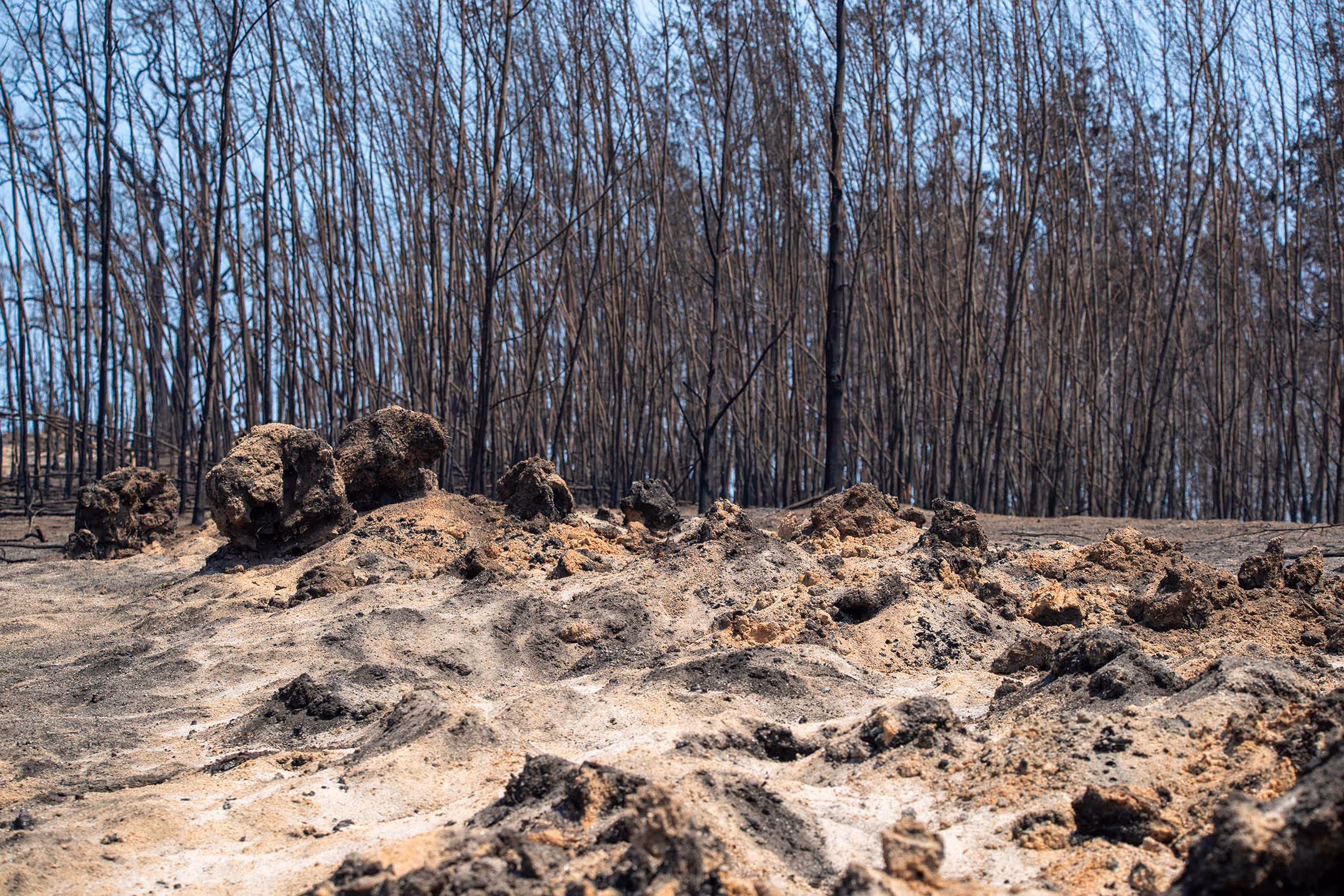 The devastating impact of the mega fires in New South Wales
