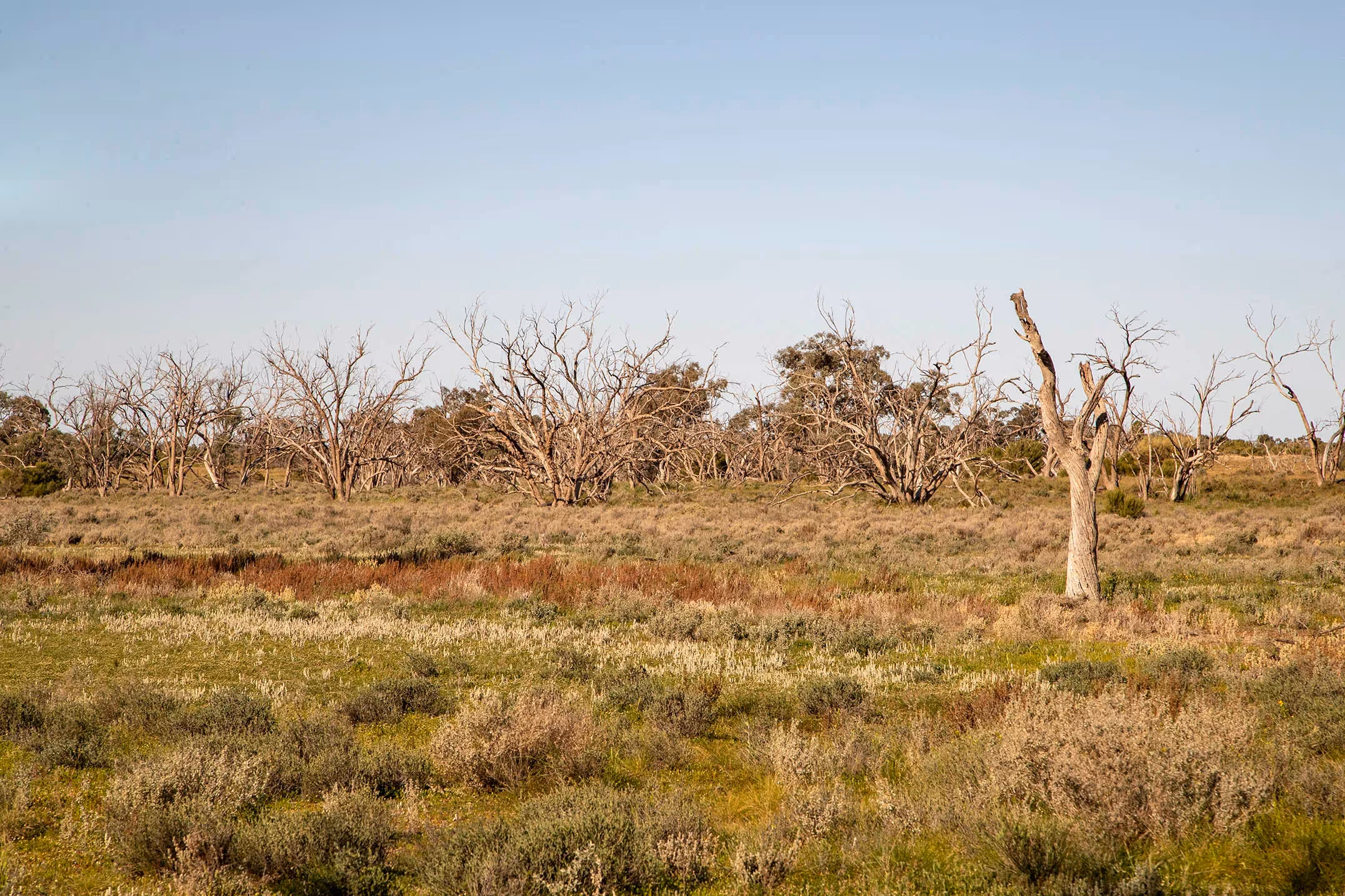 Hattah-Kulkyne National Park