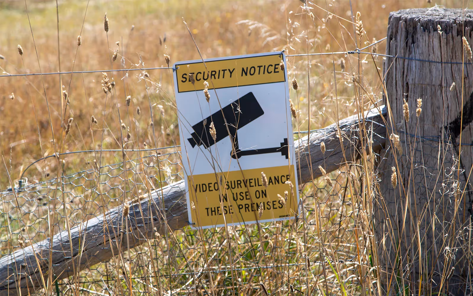 Canberra's environmental democracy