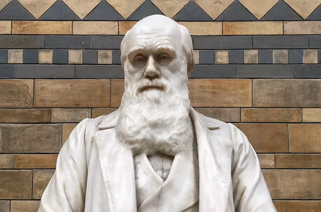 Charles Darwin, Natural History Museum