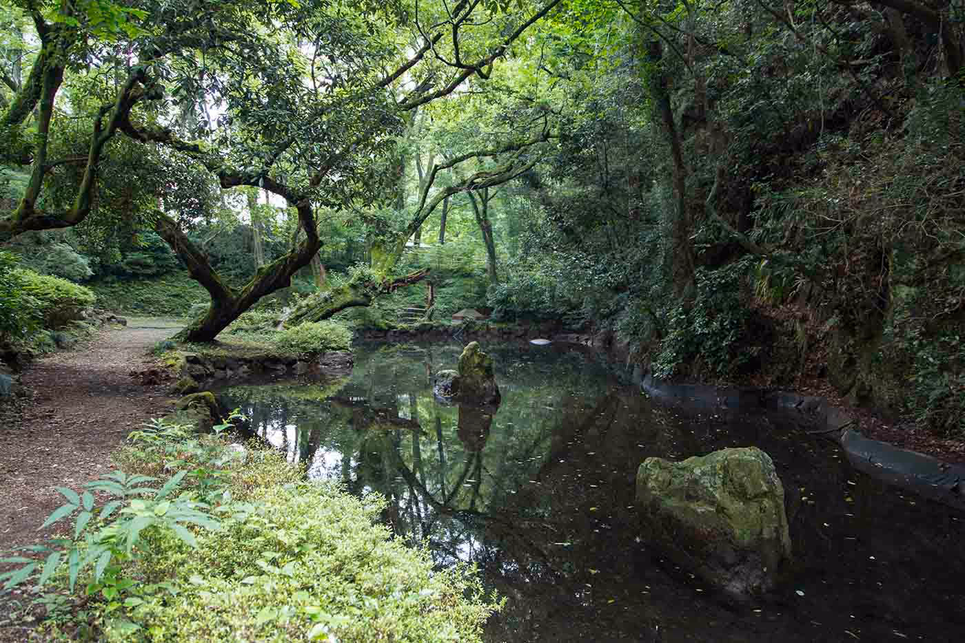 Next to our home in Gifu