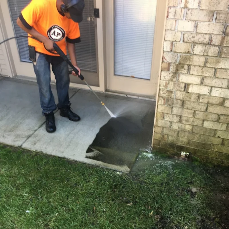 image of carpet selection