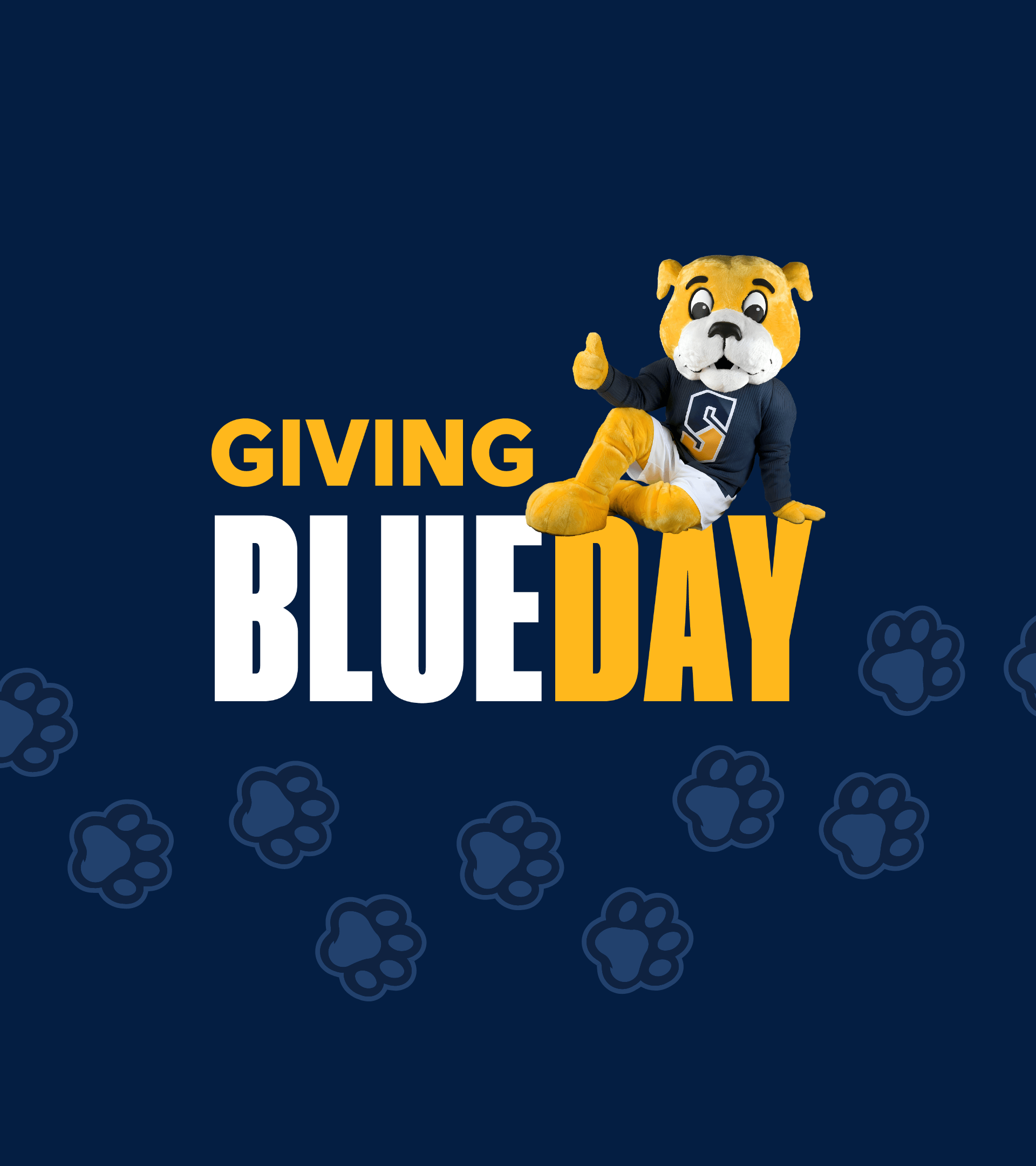 Giving BLUEday campaign at Shady Side Academy
