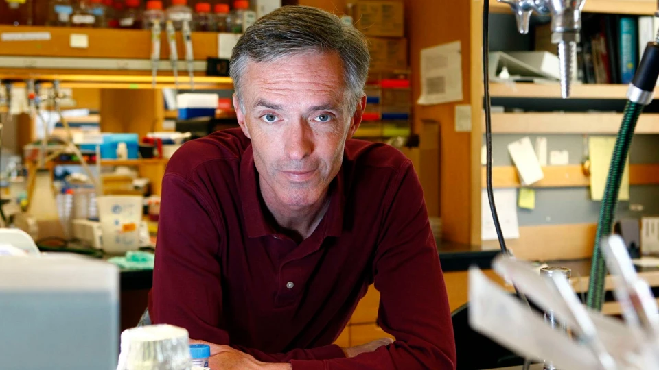A breakthrough use of generative AI to design novel antibiotics