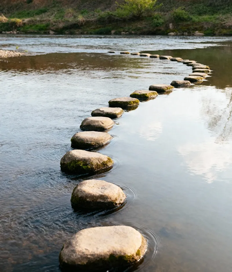 Curved line of moss-covered stepping stones crossing a shallow river with trees on the far bank.