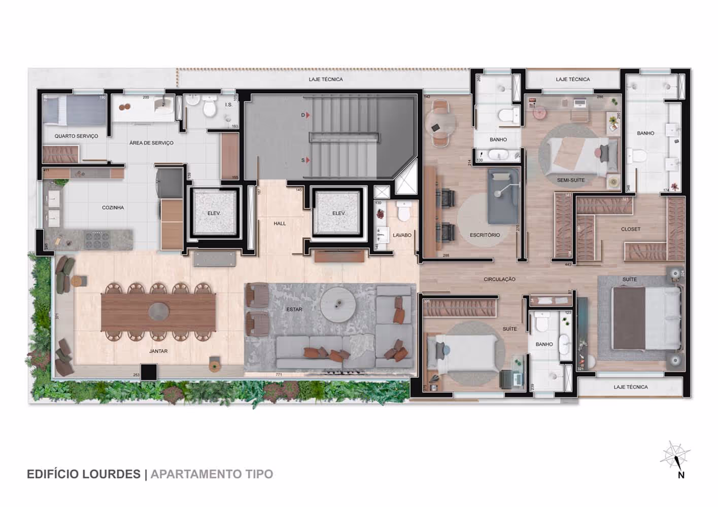 petra planta 6
