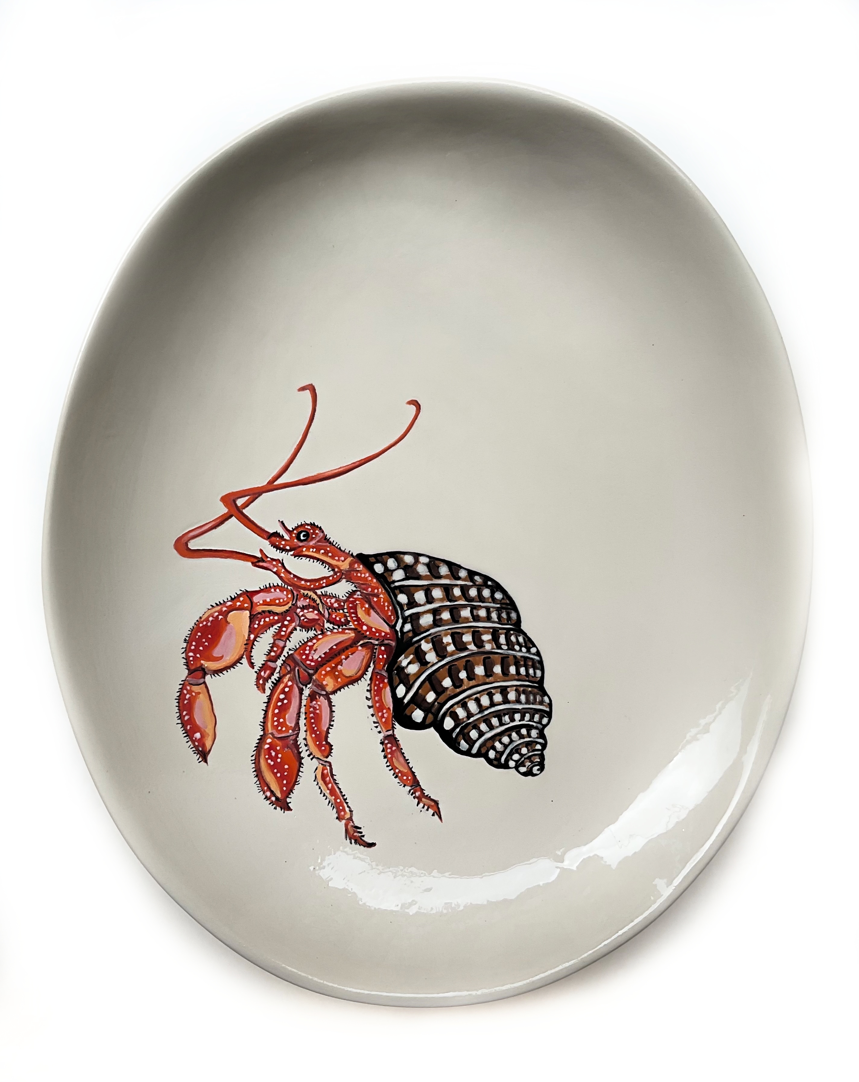 Assiette Bernard l'hermite