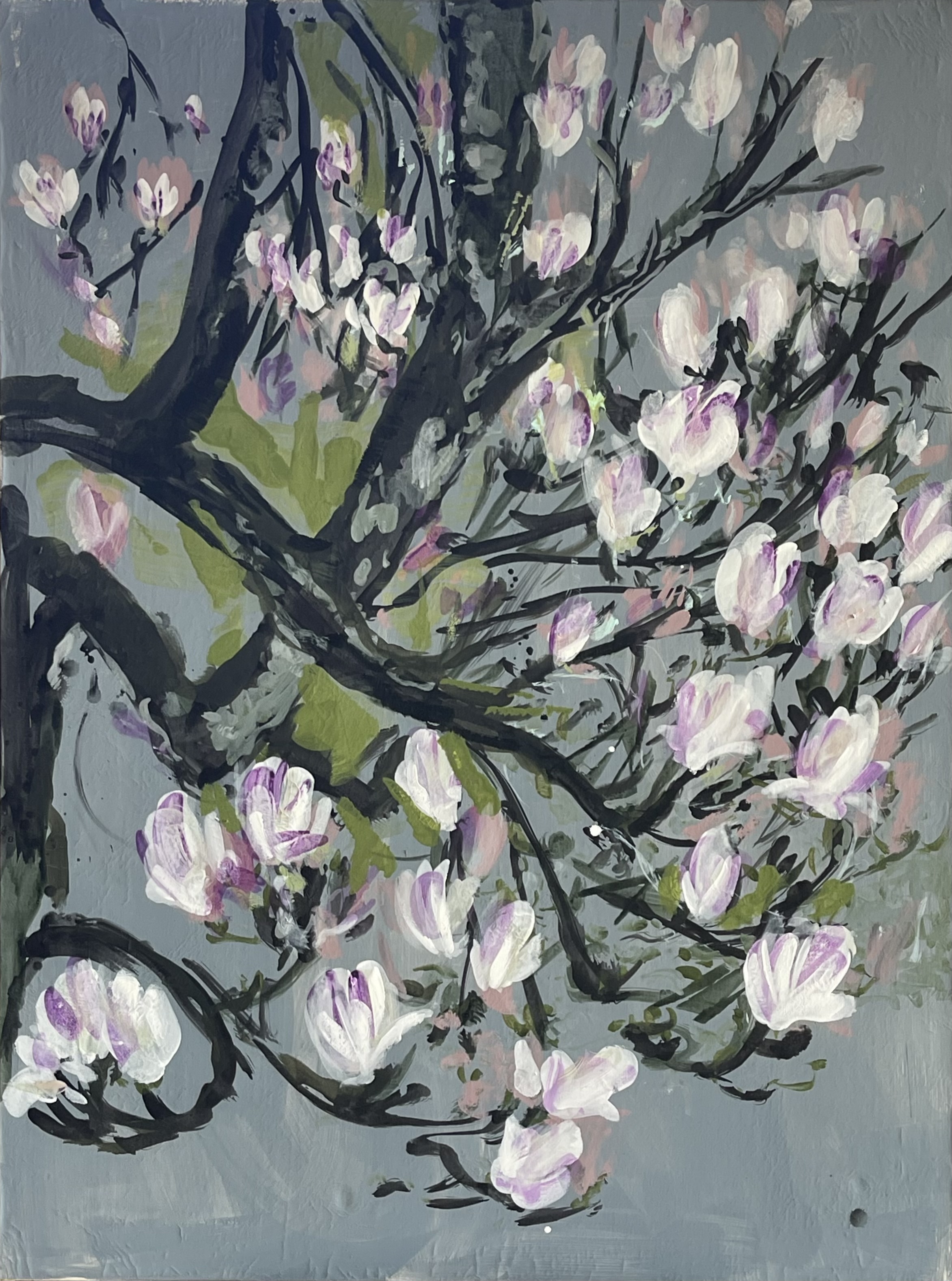 Magnolia, matin