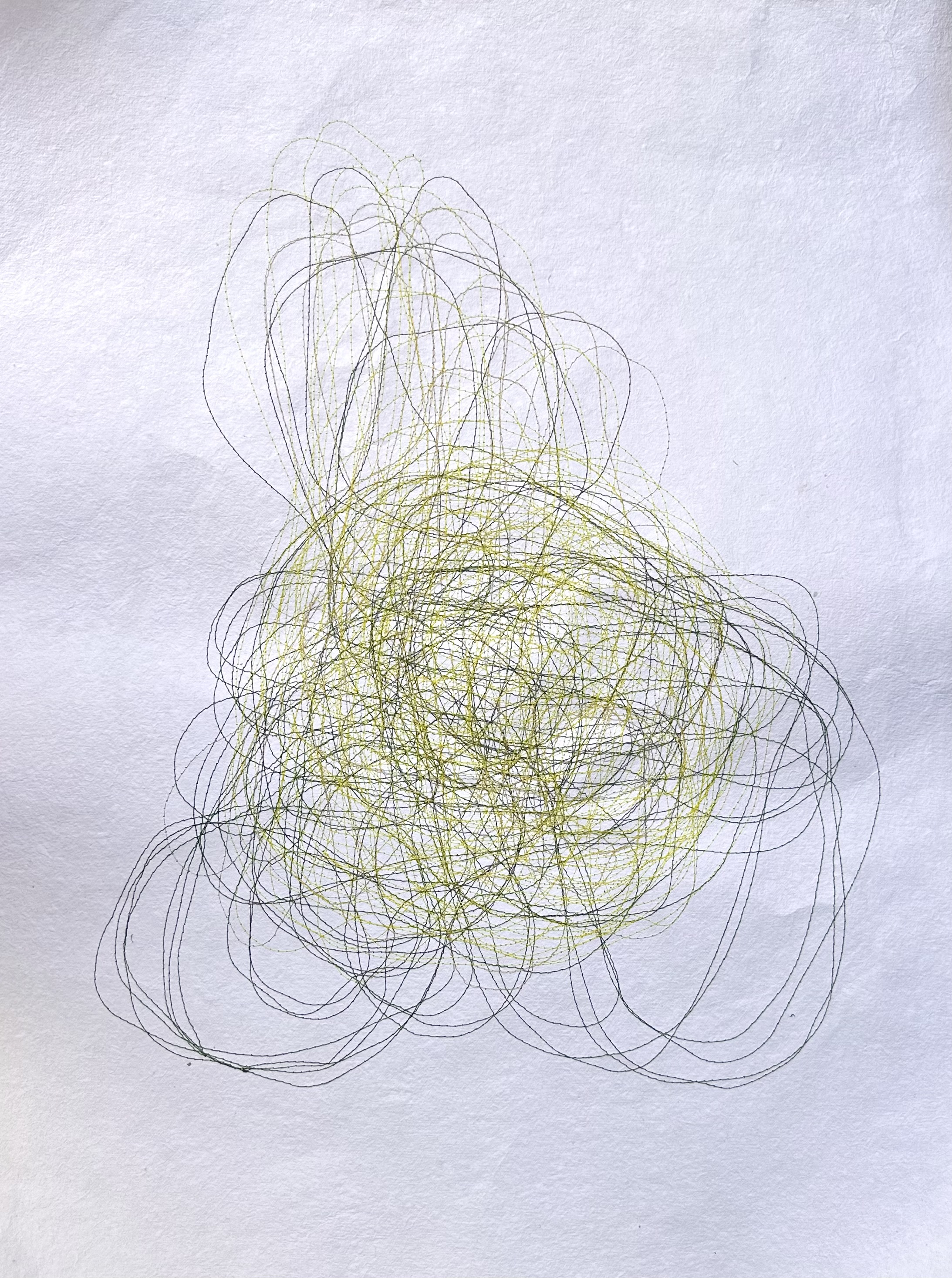 La prolifération des mousses 5