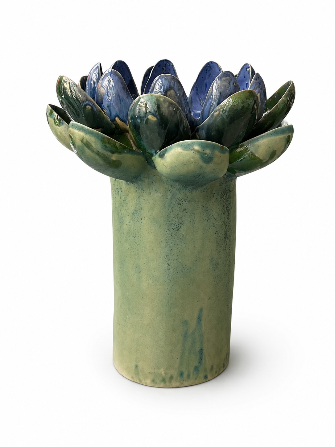 Artichaut lilas clair