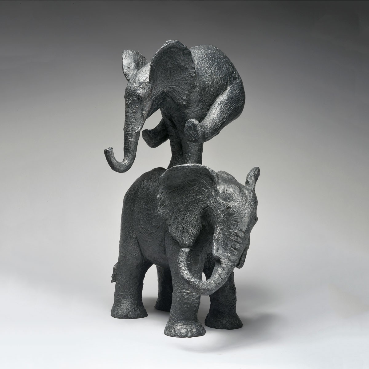 Éléphant saute !
