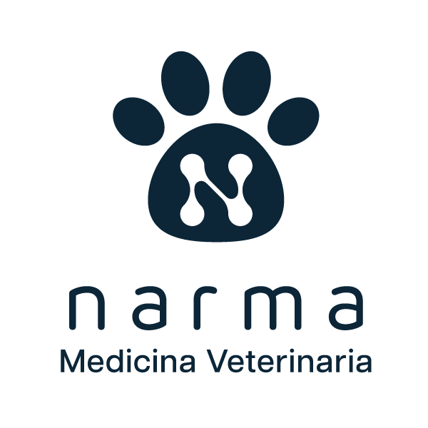 Logo de Narma