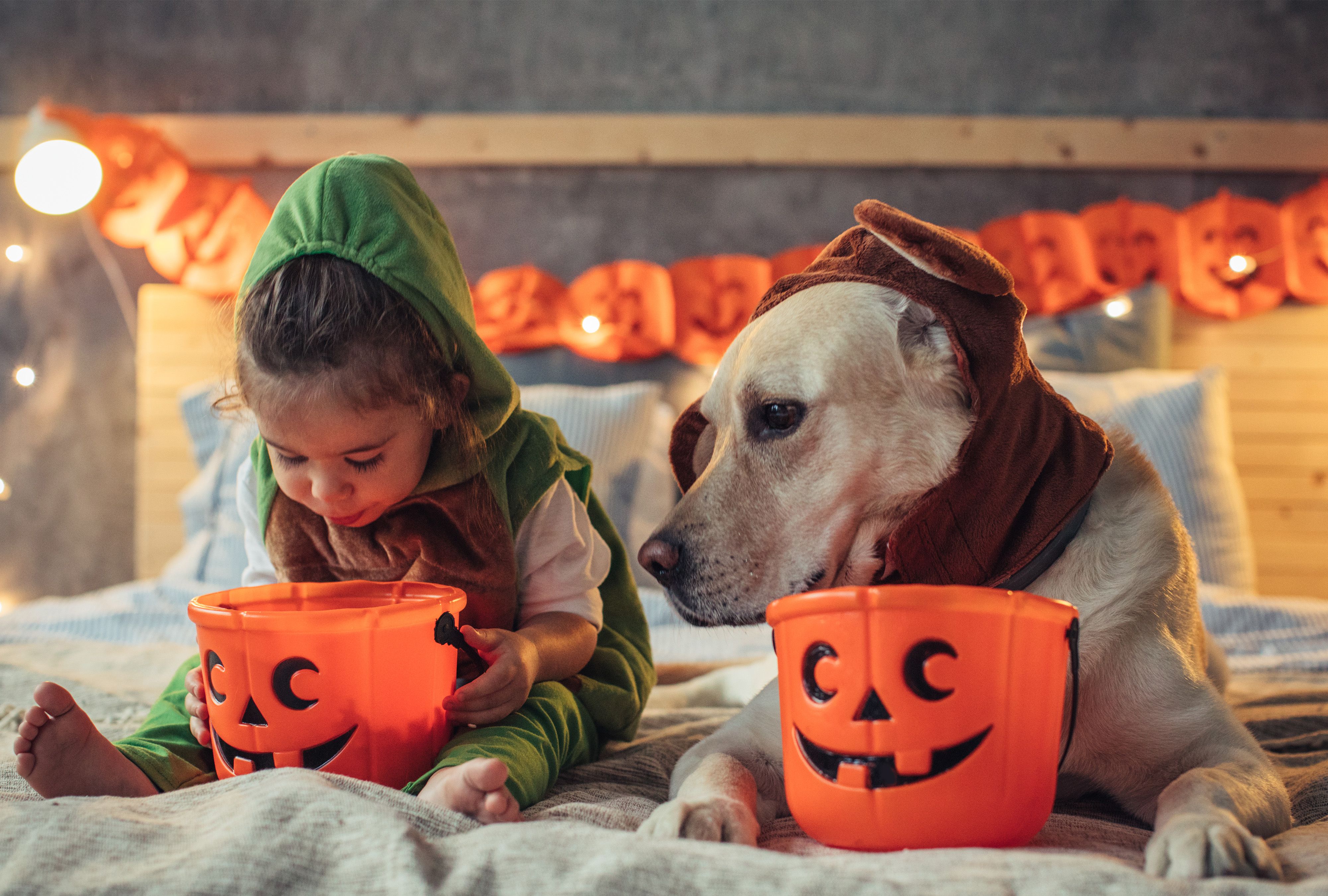 🎃 Perú: Pawer News Octubre!