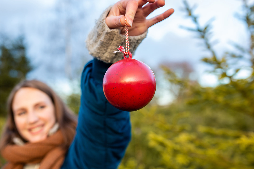 Biologisch afbreekbaar BeterBalletje gemaakt van oude kerstbomen