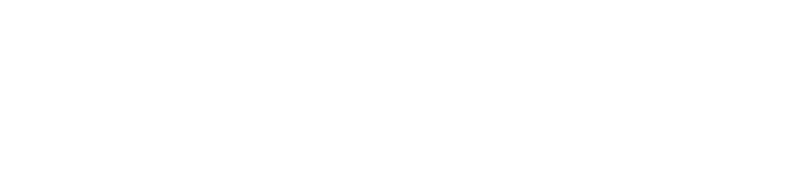 SpeedLegal